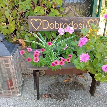 Apartmán Mendula Pakoštane Exteriér fotografie
